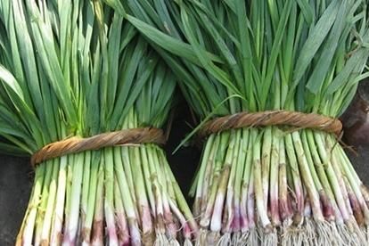 载脂蛋白|炎炎夏日,三种食物要多吃,强健血管,增强抵抗力