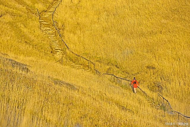 相思!26首送别诗词不忍声声汽笛近,秋风无奈送相思