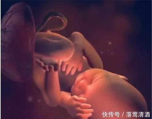 肚子|胎儿每天在妈妈肚子里干些啥看完这5张图，心都暖化了