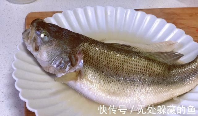 血管健康|医生提醒4种鱼可能影响健康,尽量少吃,建议及早了解!