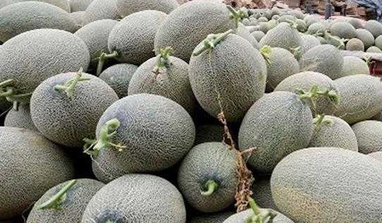 补肾益精|女性养生,适合常吃的食物,补血益气,补肾益精,好处多多!