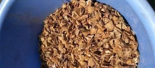 营养土|花盆里垫点这东西,营养土都不用买,养花全年不烂根