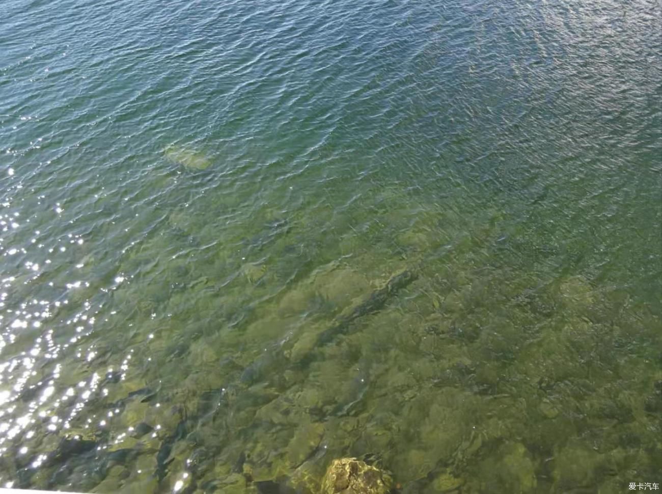 中年|木格措风景区