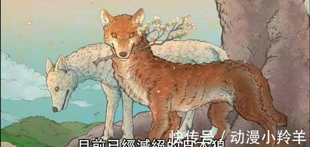 凯多|海贼王1020话:大和的果实能力公布!粉丝:怕啥来啥,真是白眼狼