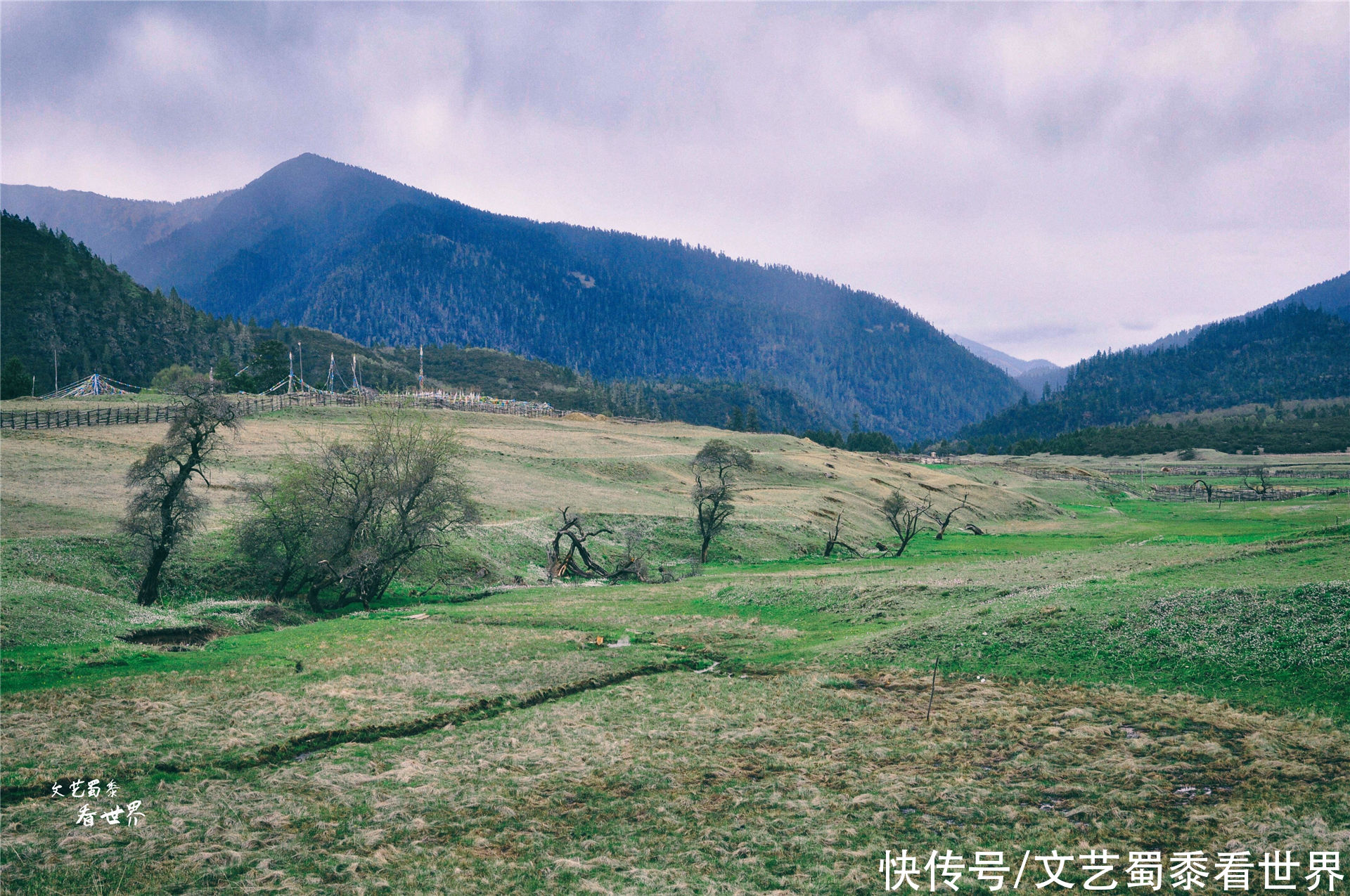 在川藏线上有一个仙境一样的村庄，鲁朗扎西岗村，去过的人并不多