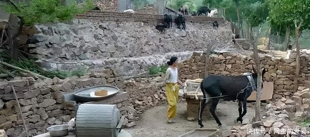 花光|北大教授王青松,携妻隐居深山12年,花光350万积蓄后来如何