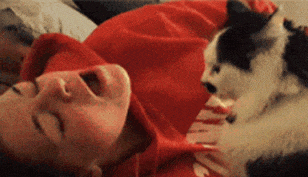 |搞笑GIF：爱妃别怕，朕帮你人工呼吸！