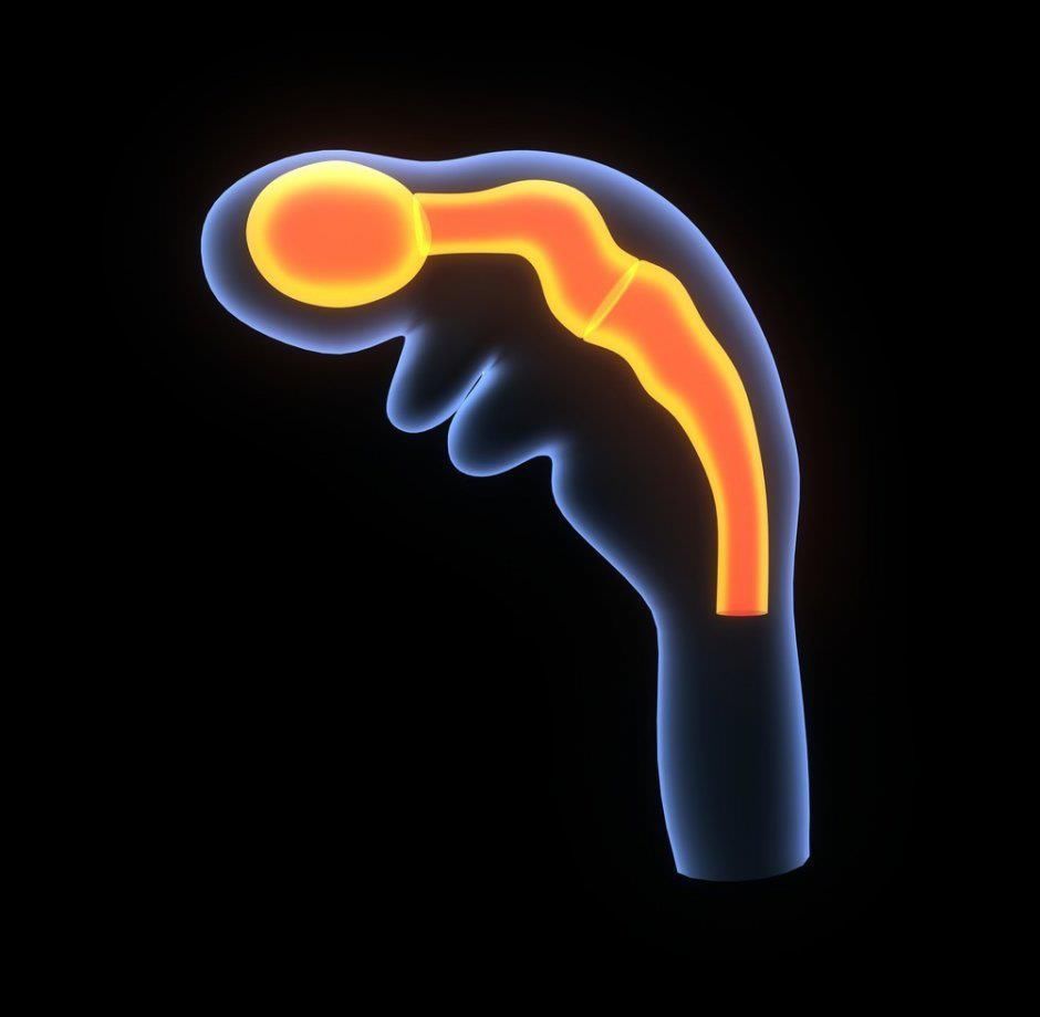 楠楠|孕妇不能喝豆浆,对胎儿有害?豆浆对胎儿的好处,很多孕妈不知道