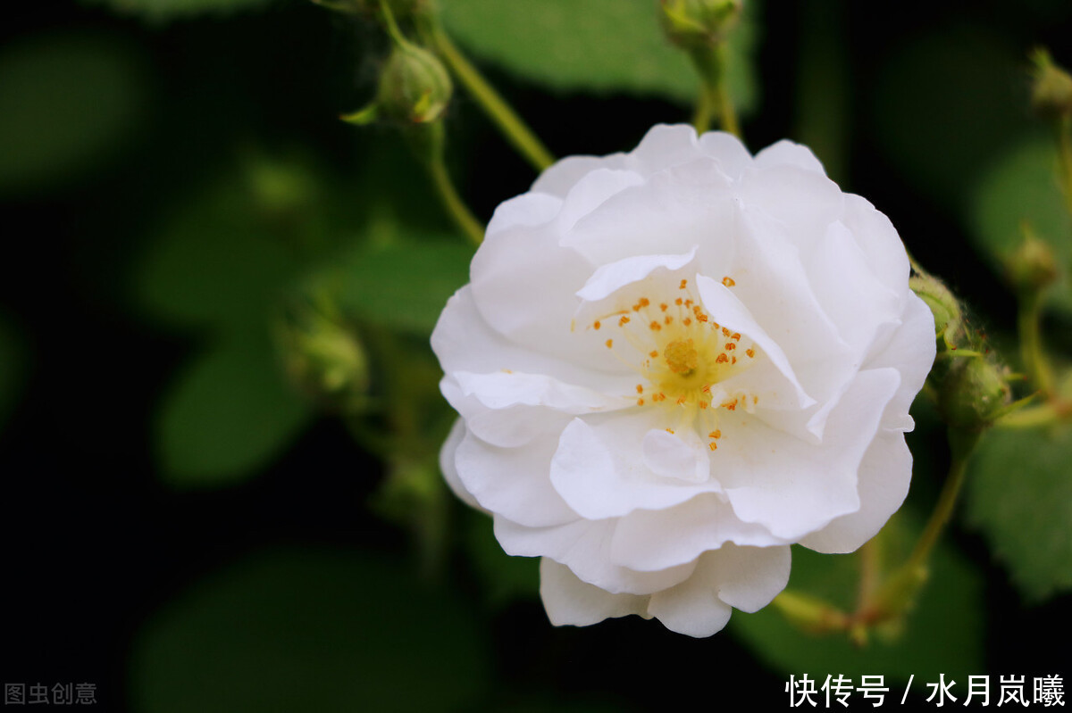 等待|你若安好,便是晴天,在一杯茶的光阴里,等待故人重逢