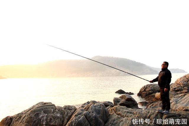 竿壁|几十元的鱼竿和几百元的鱼竿差距在哪?内行人士来告诉你答案