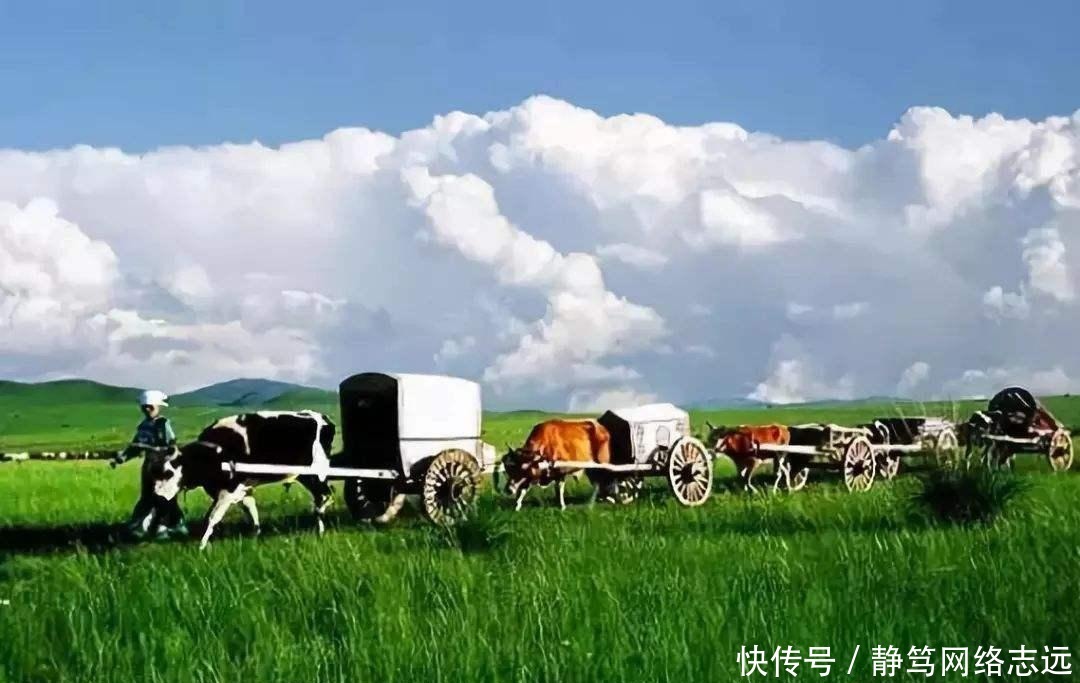  女人|这个女人忽然发现自己是敕勒人，先祖唱响敕勒歌，如今成了蒙古族