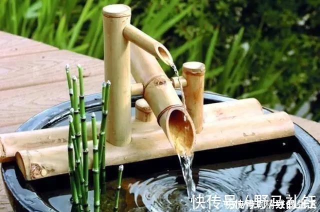 种菜|别墅院子这样设计,庭前栽花,屋后种菜,实现梦想中的田园生活!