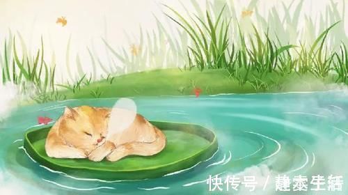 练功|阅素灵：失眠者的逆袭：无论睡不睡得着，无需挂怀