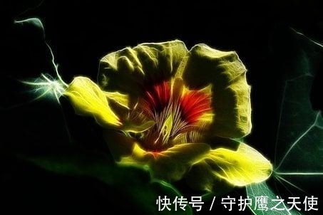 在家务农|未来4天，桃花缠绕，日子惬意，不再停留，诉说痴心，白首不离