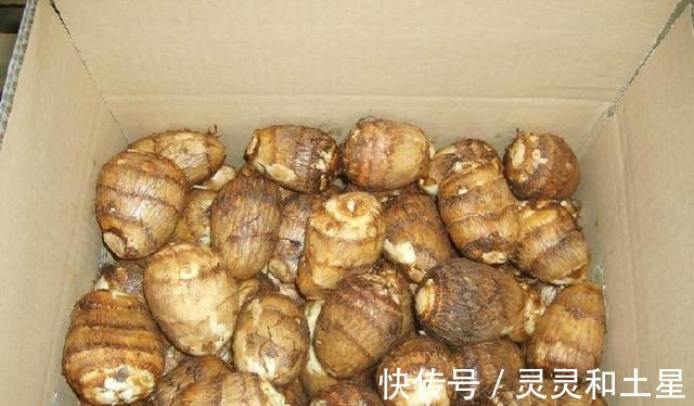 差别|买芋头,究竟是芋头母好还是芋头子好,老菜农别吃错,差别很大!