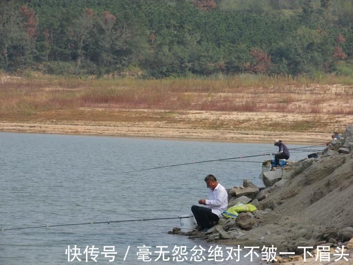 鲢鳙|盛夏野钓鲢鳙三步走，黑漂一个连一个，让你提竿到手抖