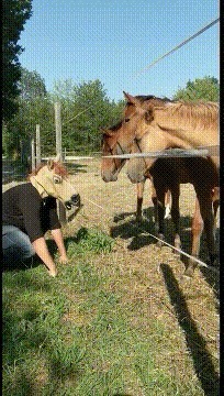 |搞笑GIF:有些人终究是单身 并不是没有原因的