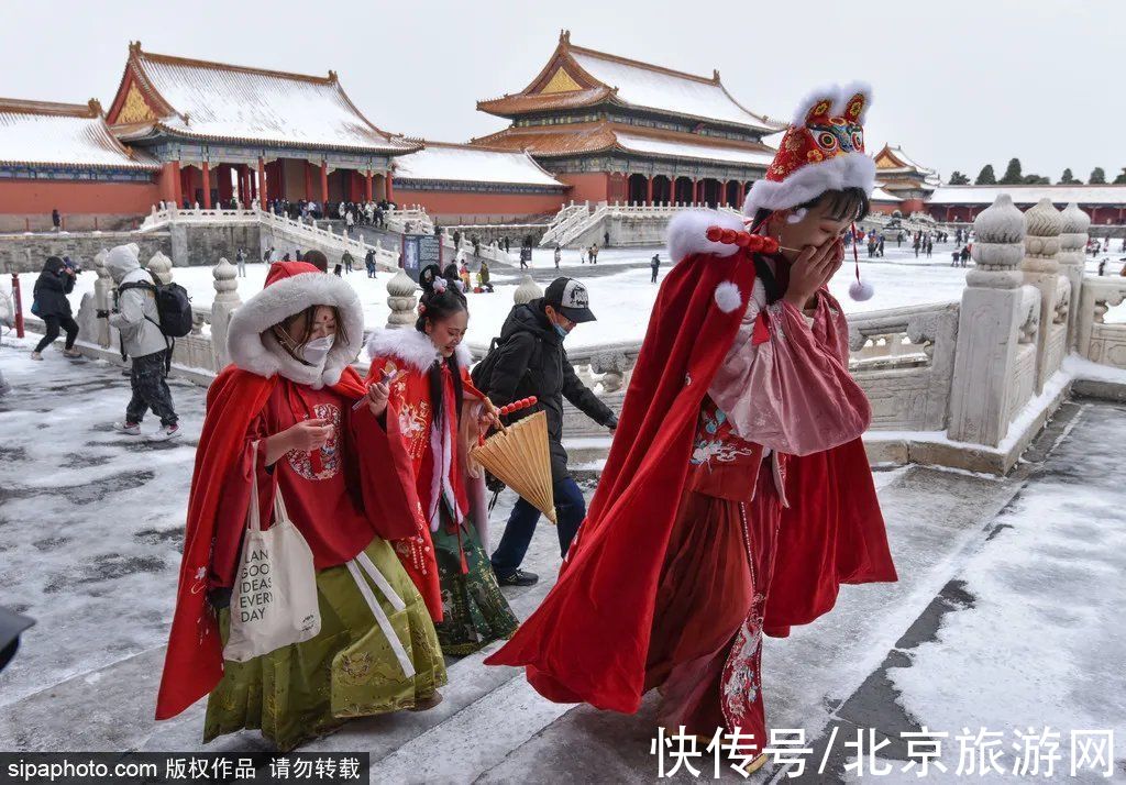 小雪|节气小雪丨天寒地冻，北京这里桃花却开了！（文末有福利）