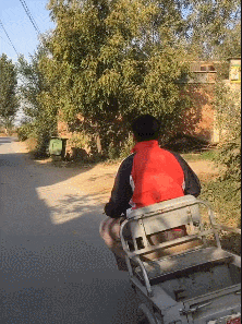 |搞笑GIF:只要你舍得下血本,就没有追不到的女神