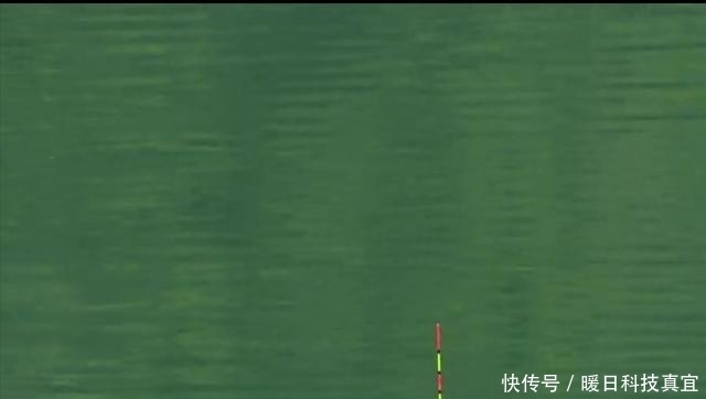 钓友|钓鱼人普遍存在的5个误区,别再犯糊涂了!