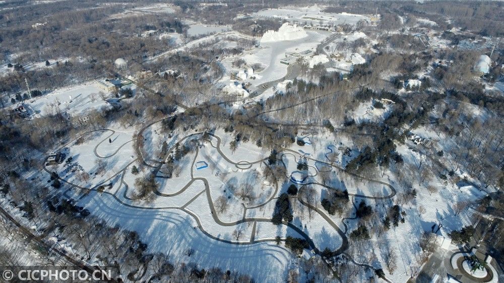 拍摄的雪景|冬雪如画