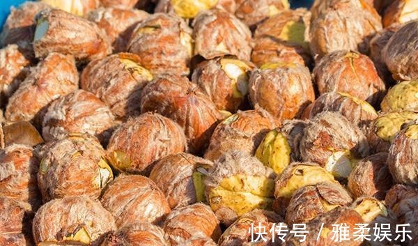 气血|脾衰，人就废一半，找到脾的“恩人”，坚持吃，养好脾脏