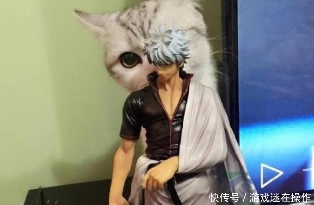 打破|一只猫打破了次元壁,这才是玩手办的新高度