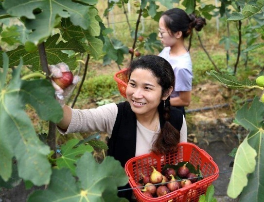 糖尿病患者|糖尿病“害怕”4种水果,再没钱也要吃,让血糖稳定,远离并发症