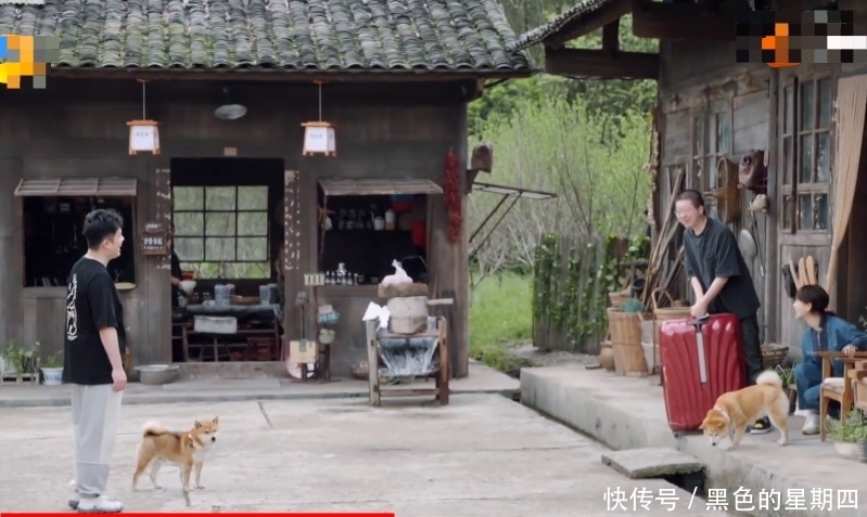 陈赫 杨紫行李箱到底有多重?李诞陈赫黄磊都扛不住,张艺兴举动好暖心