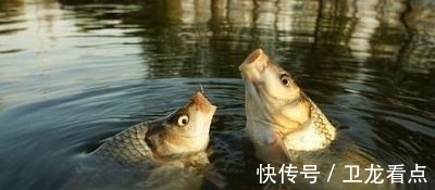 冬季钓鱼,这4种晴天没鱼吃钩,不要去浪费时间!