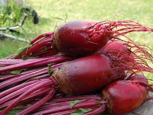 肝病|它是肝病的“特效药”,平时放心敞开吃,或助你排肝毒,肝更健康