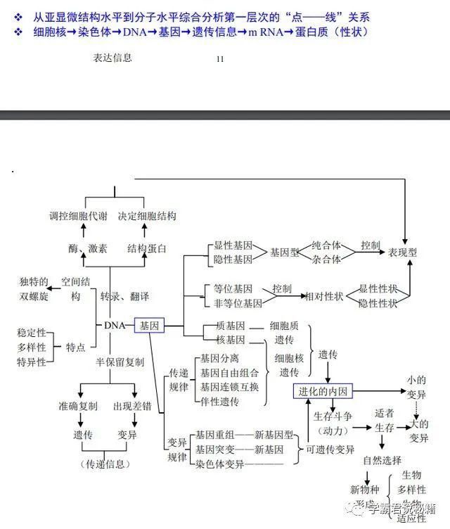 知识考点|高三考生请注意：这份学霸笔记，收藏一份，生物成绩不低于85+！