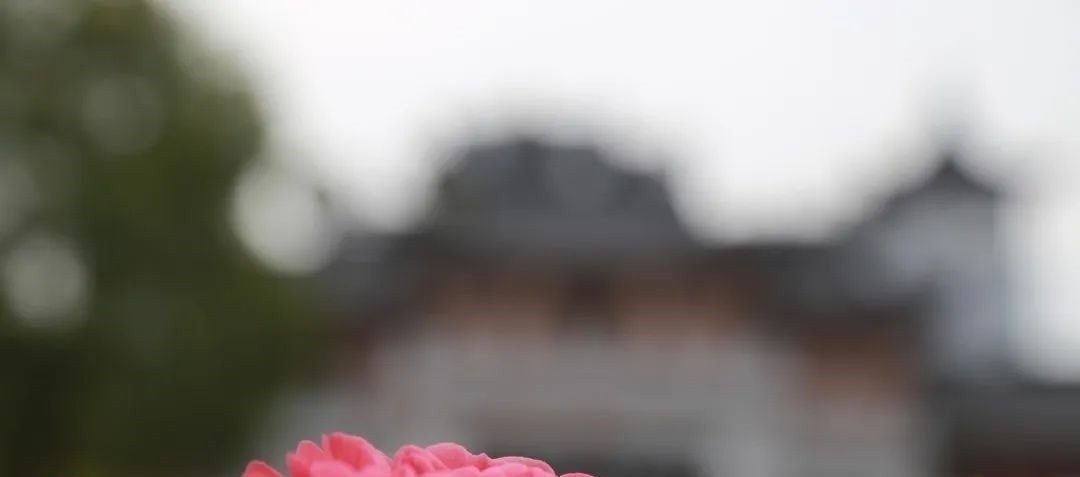 叶限#中日对比:中国《山海经》与日本《山海经》哪里不同?