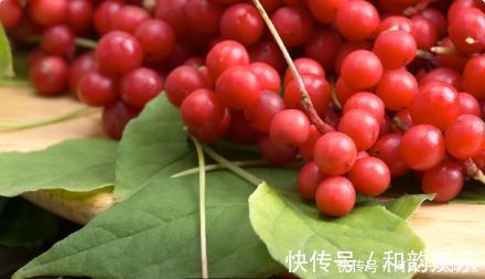 五味子素|90岁肝病院士从重度肝硬化到肝功正常,只需坚持做好这4件事