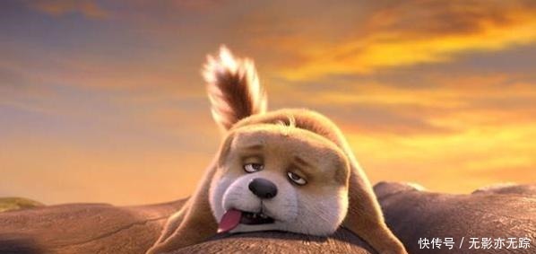 国漫|国漫中萌化人心的萌宠,肚兜成了喜剧担当,而它是童年回忆