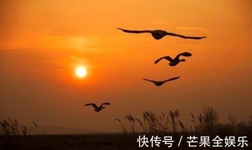 迎春$七言律诗一首:迎春