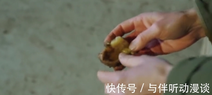 養(yǎng)羊|9.6分,這節(jié)目可把大明星虐爽了