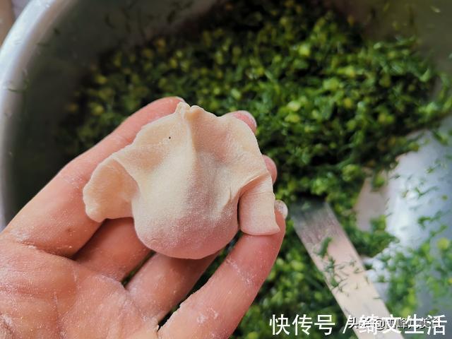 韭菜|夏天吃饺子还得这馅儿，比芹菜好吃比韭菜香，出锅连吃30个真过瘾