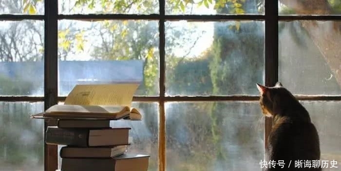 玩鸟|为何说“钓鱼穷三年,玩鸟毁一生”,这两样东西为何会败财?