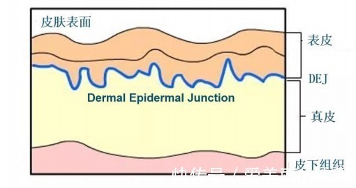 化妆品|为什么玻色因在化妆品原料界越来越受欢迎?