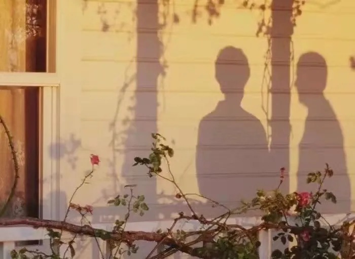 窗台&十首诗,告别2021年