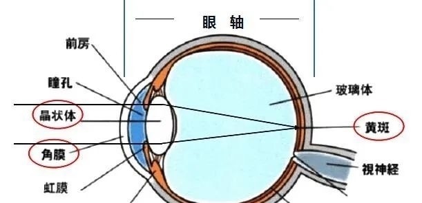 视力|保护孩子视力成长的关键，这3点家长要尽快去做来预防近视