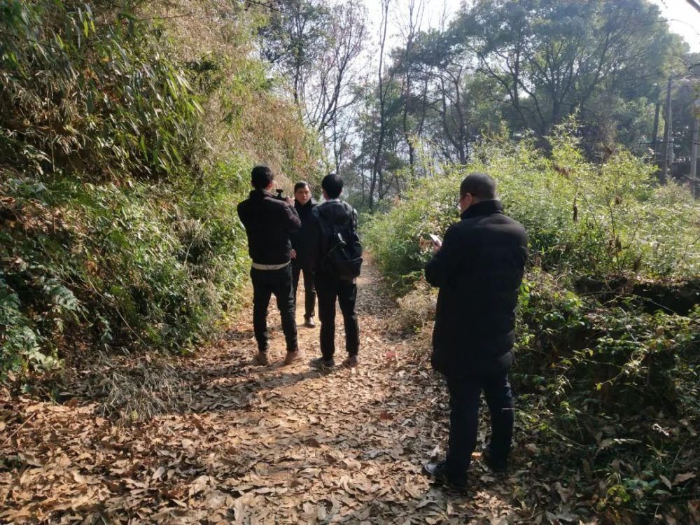 桃花源|永岁镇党委书记走进央视镜头,欲将此古城打造成历史文化旅游景点