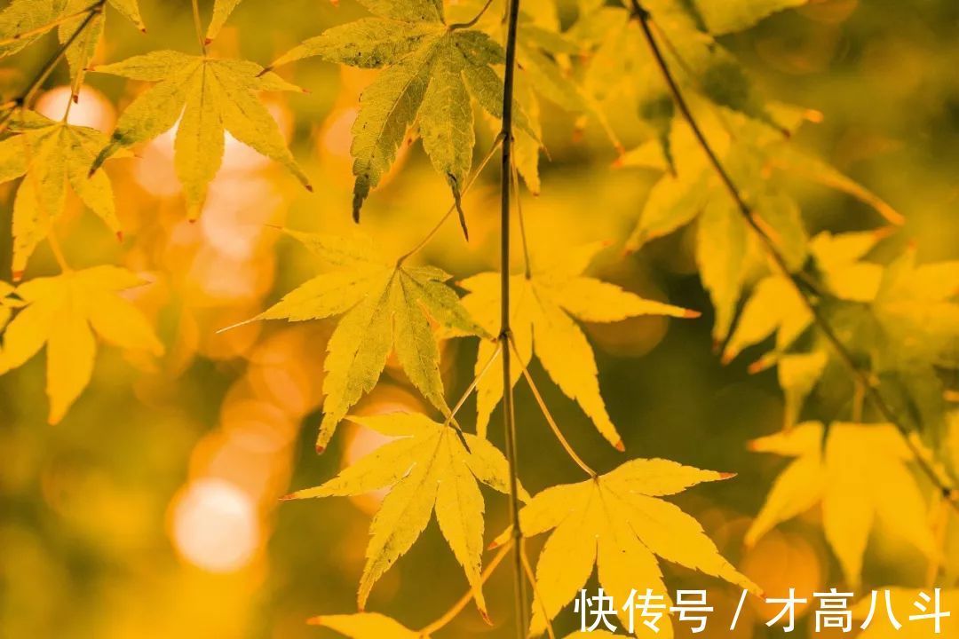 卜算子|长河流岁千秋过,笑问世间谁常客?