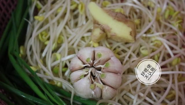 豆芽|做豆芽,多加一个步骤,是很关键的,清脆爽口,也更健康