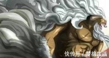杰克|海贼王 5只月亮狮子帅气, 佩德罗霸气, 加洛特高冷, 猫蝮蛇肥壮