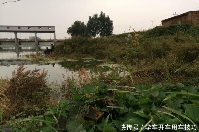 关键|冬季野钓鲫鱼,饵料重要但不是核心,那谁才是关键