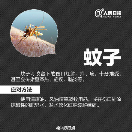 秋游|秋游当心昆虫过敏！严重过敏反应甚至危及生命