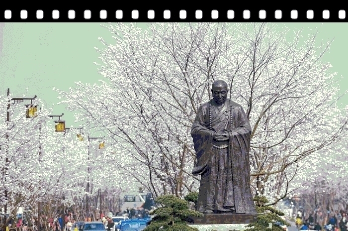 本僧人|鉴真东渡名扬后世,假如你知道他带什么去日本,可能就要讨厌他了