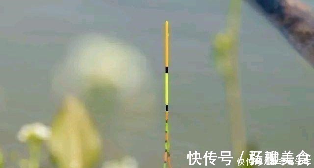 饵料|野钓鲫鱼为何全是送漂,黑漂和钝口很少道理很简单!